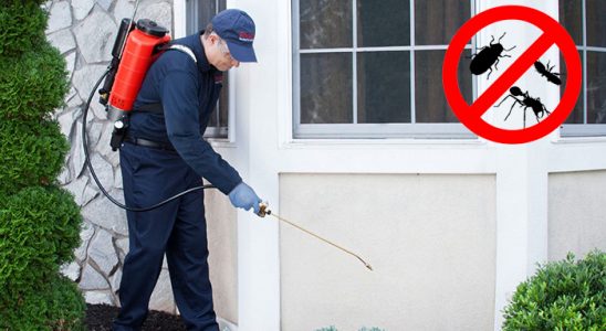 Özalp Fare İlaçlama böcek ilaçlama ve haşere kontrolü — ilaclama-tr.com